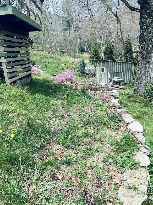5933 N Norton Rd, Cullowhee, NC 28723 - view of yard