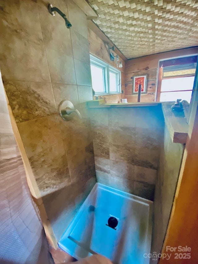 5933 N Norton Rd, Cullowhee, NC 28723 - full bath featuring a tile shower