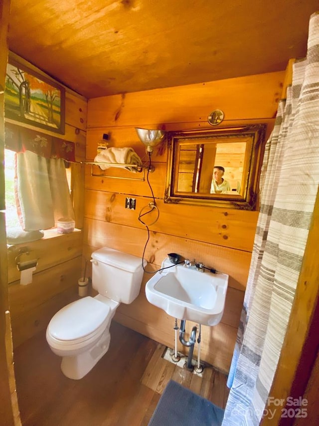 5933 N Norton Rd, Cullowhee, NC 28723 - bathroom with wood finished floors, wood walls, toilet, wood ceiling, and a sink