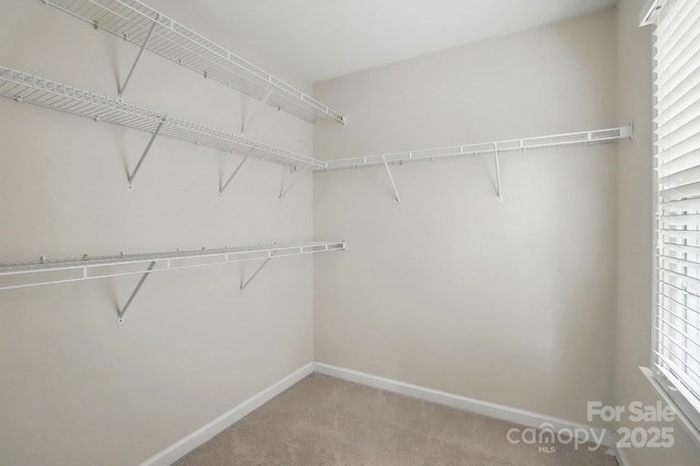2725 Cotton Planter Ln, Charlotte, NC 28270 - spacious closet with light colored carpet