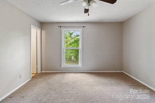 65 Knoll Ridge Dr, Asheville, NC 28804 - photo 33