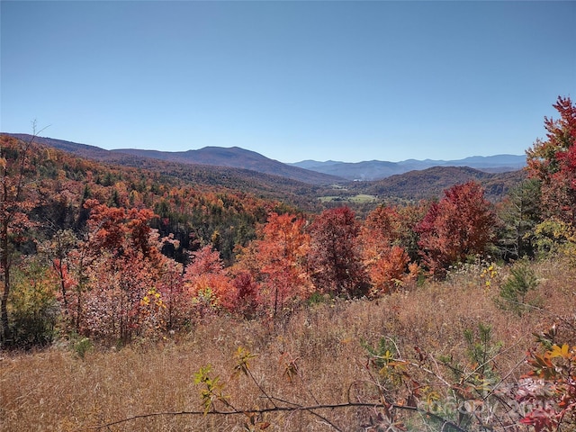 548 Wilderness Dr, Marion, NC 28752 - photo 23