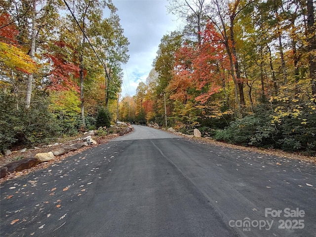 548 Wilderness Dr, Marion, NC 28752 - photo 25