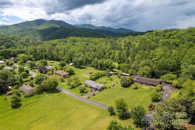 331 Ela Heights Rd, Whittier, NC 28789 - photo 5