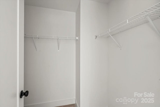 4541 Kings Ct, Hickory, NC 28602 - view of walk in closet
