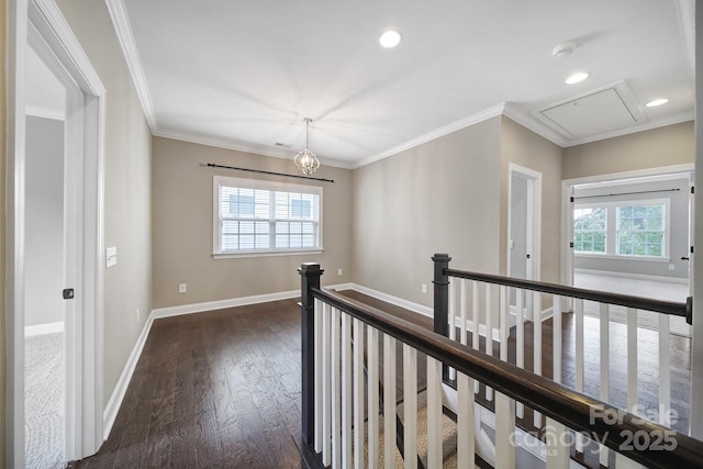 295 Helton Ln, Fort Mill, SC 29708 - hall featuring an upstairs landing, attic access, plenty of natural light, dark wood-type flooring, and ornamental molding