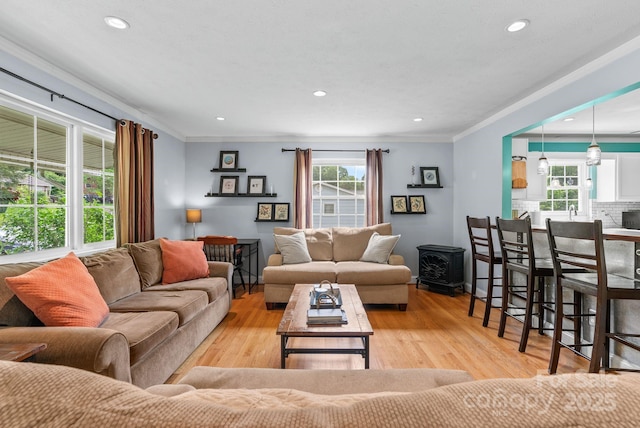 27 Dixon Ter, Candler, NC 28715 - living area with a wood stove, recessed lighting, ornamental molding, and wood finished floors