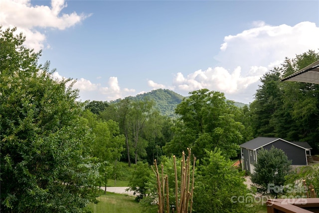 27 Dixon Ter, Candler, NC 28715 - mountain view with a forest