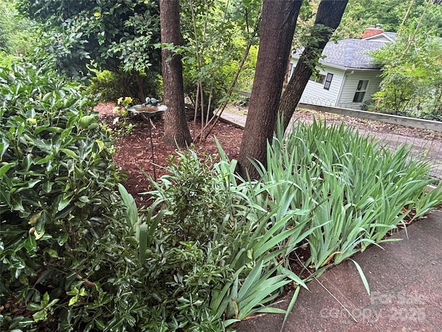 160 Hidden Hill Rd, Tryon, NC 28782 - view of yard