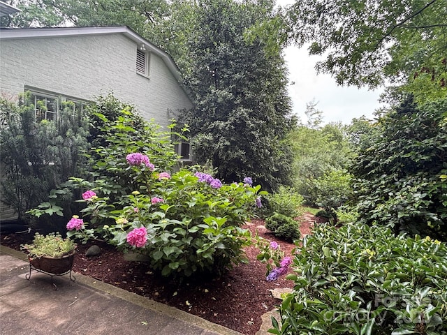 160 Hidden Hill Rd, Tryon, NC 28782 - view of yard