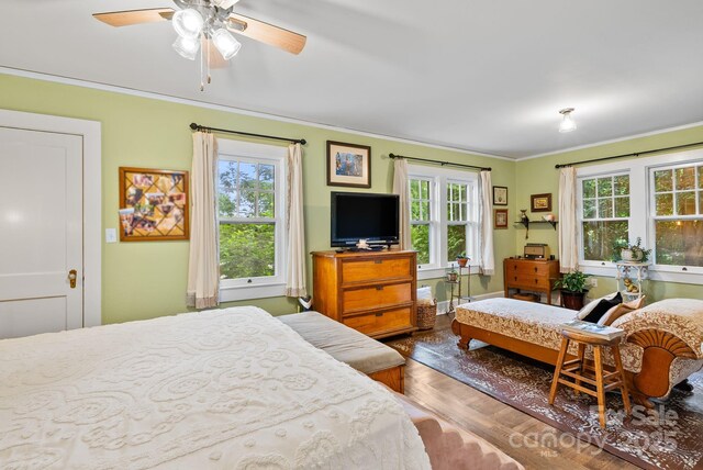 160 Hidden Hill Rd, Tryon, NC 28782 - bedroom with multiple windows and crown molding