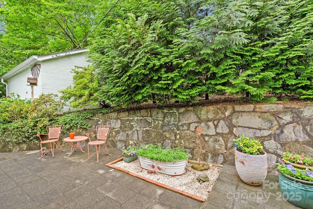 160 Hidden Hill Rd, Tryon, NC 28782 - view of patio / terrace