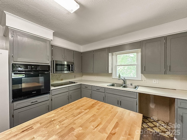 361 Settlemyer Rd, Morganton, NC 28655 - kitchen featuring black appliances, a sink, gray cabinetry, and a textured ceiling