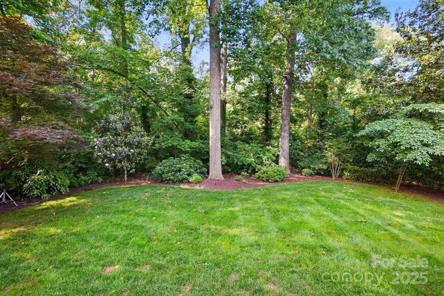 2025 Sagamore Rd, Charlotte, NC 28209 - view of green lawn
