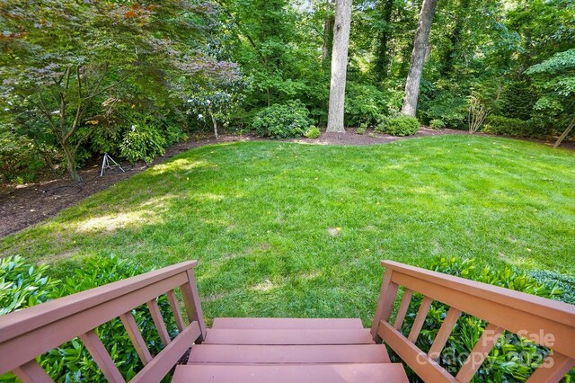 2025 Sagamore Rd, Charlotte, NC 28209 - view of green lawn