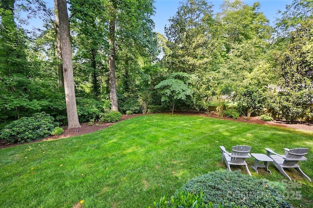 2025 Sagamore Rd, Charlotte, NC 28209 - view of green lawn