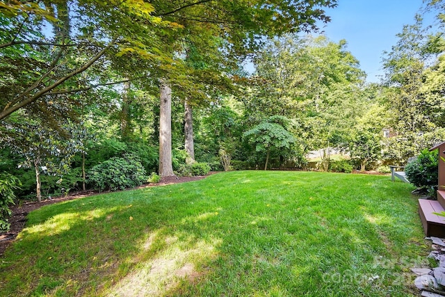 2025 Sagamore Rd, Charlotte, NC 28209 - view of grassy yard