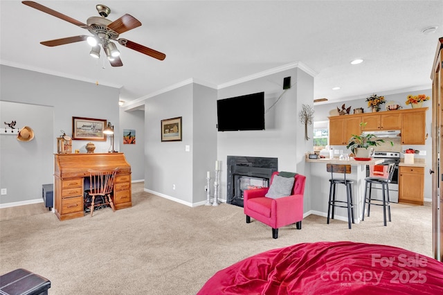 509 Brawley Rd Unit 7, Cleveland, NC 27013 - living area with ornamental molding, light carpet, ceiling fan, a glass covered fireplace, and baseboards