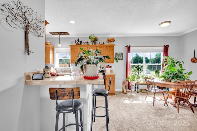 509 Brawley Rd Unit 7, Cleveland, NC 27013 - kitchen featuring a textured ceiling, light colored carpet, crown molding, light countertops, and a peninsula