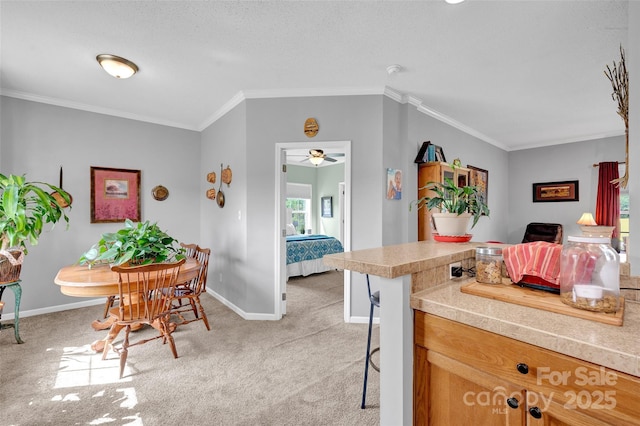 509 Brawley Rd Unit 7, Cleveland, NC 27013 - kitchen with crown molding, light colored carpet, light countertops, baseboards, and a kitchen breakfast bar