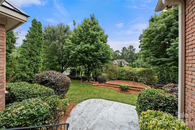 310 Ridge Reserve Dr, Clover, SC 29710 - view of grassy yard with a patio area