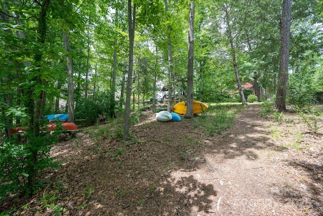 310 Ridge Reserve Dr, Clover, SC 29710 - view of yard
