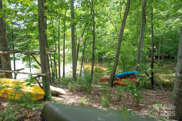 310 Ridge Reserve Dr, Clover, SC 29710 - view of yard