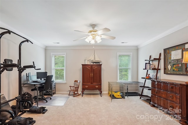 8612 Tintinhull Ln, Waxhaw, NC 28173 - carpeted office space with ceiling fan, crown molding, and baseboards