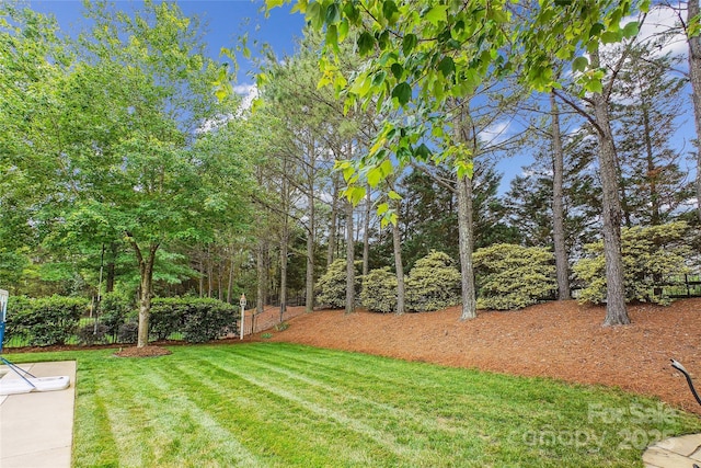 8612 Tintinhull Ln, Waxhaw, NC 28173 - view of yard