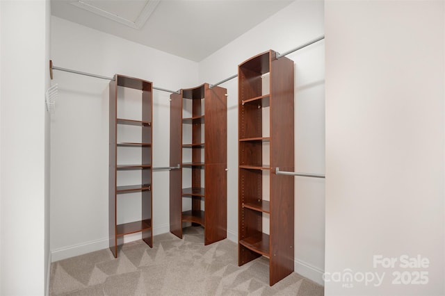 2324 Bonterra Blvd, Indian Trail, NC 28079 - walk in closet featuring carpet flooring