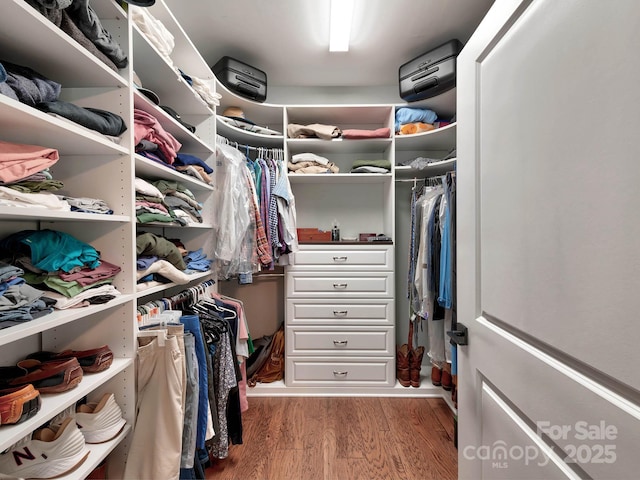spacious closet featuring wood finished floors