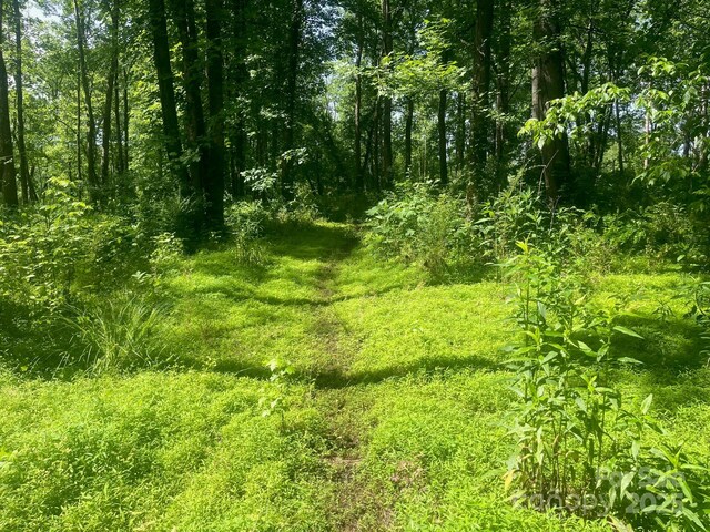 LOT149 Lookout Dam Rd, Statesville, NC 28625 - photo 2