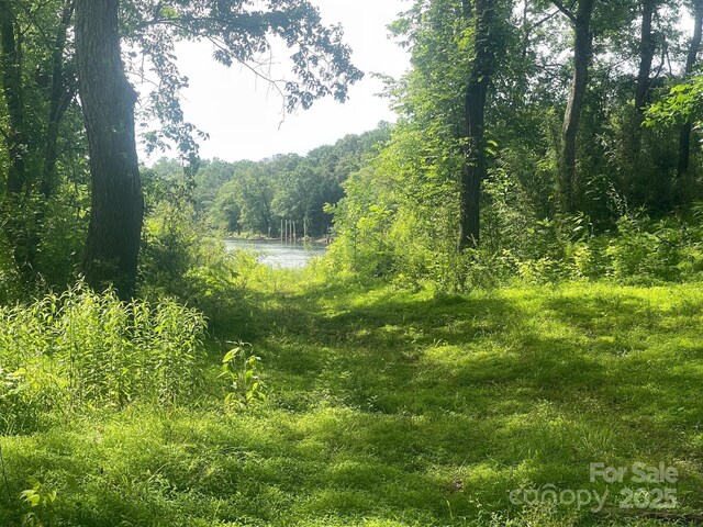 LOT149 Lookout Dam Rd, Statesville, NC 28625 - photo 6