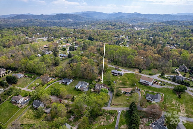 25 N Willow Brook Dr, Asheville, NC 28806 - photo 22