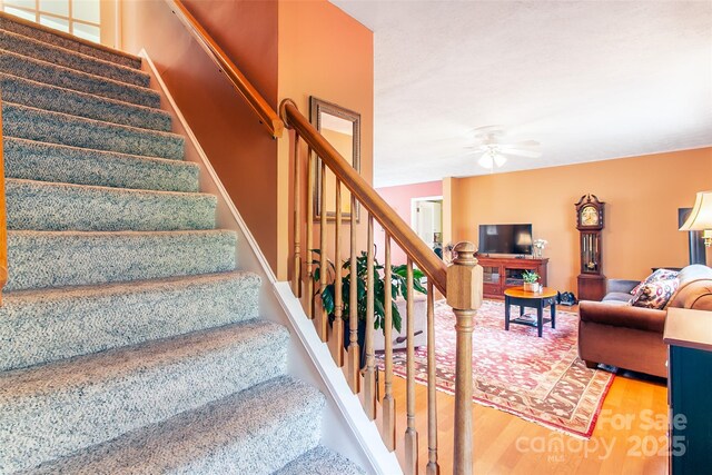 25 N Willow Brook Dr, Asheville, NC 28806 - photo 40