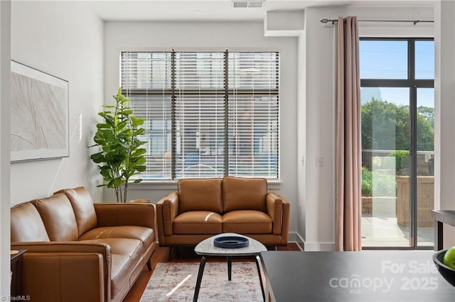 810 W 4th St Unit 201, Winston Salem, NC 27101 - living room featuring plenty of natural light and wood finished floors