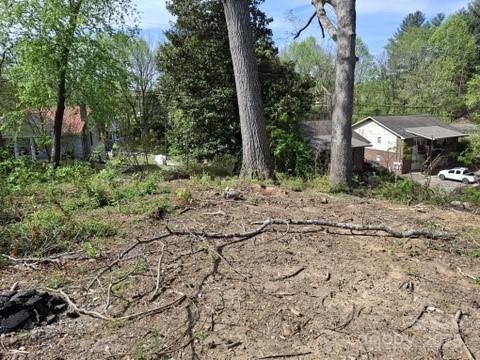 4 Weaver Hill Rd, Asheville, NC 28805