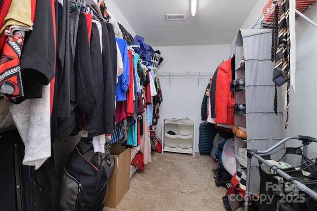 8511 Redding Glen Ave, Charlotte, NC 28216 - spacious closet featuring carpet flooring