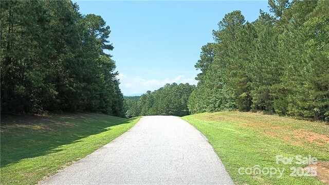 224 Riverwalk Dr, Connelly Springs, NC 28612 - photo 6