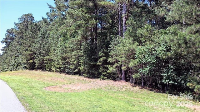 224 Riverwalk Dr, Connelly Springs, NC 28612 - photo 7