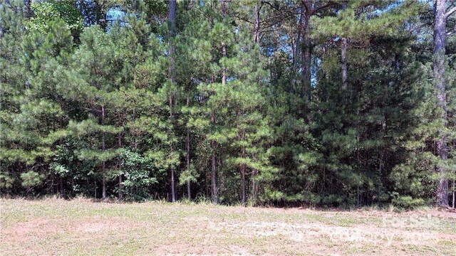 224 Riverwalk Dr, Connelly Springs, NC 28612 - photo 8