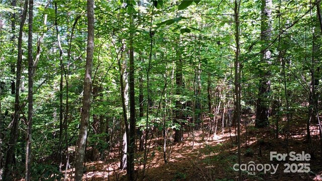 224 Riverwalk Dr, Connelly Springs, NC 28612 - photo 9
