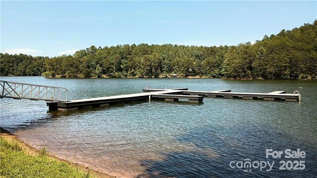 224 Riverwalk Dr, Connelly Springs, NC 28612 - photo 12