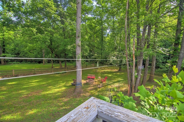 5995 Tall Tree Ln, Harrisburg, NC 28075 - view of yard