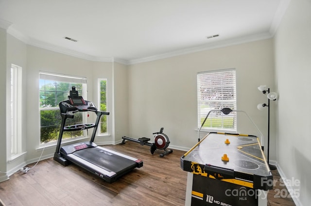 2426 Tory Oak Pl, Matthews, NC 28105 - exercise area with plenty of natural light, crown molding, and wood finished floors