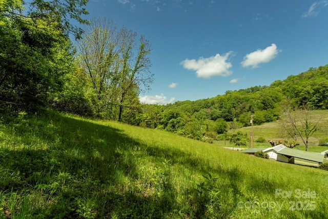 Offof Locust Creek Road, Sylva, NC 28779 - photo 1