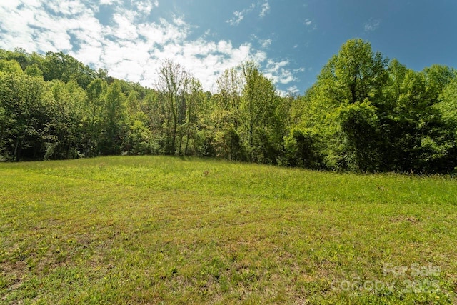 Offof Locust Creek Road, Sylva, NC 28779 - photo 2