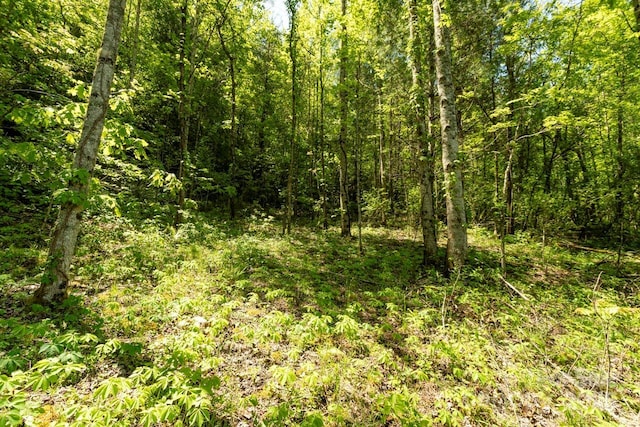 Offof Locust Creek Road, Sylva, NC 28779 - photo 3