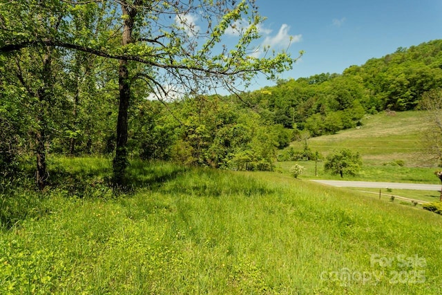 Offof Locust Creek Road, Sylva, NC 28779 - photo 4