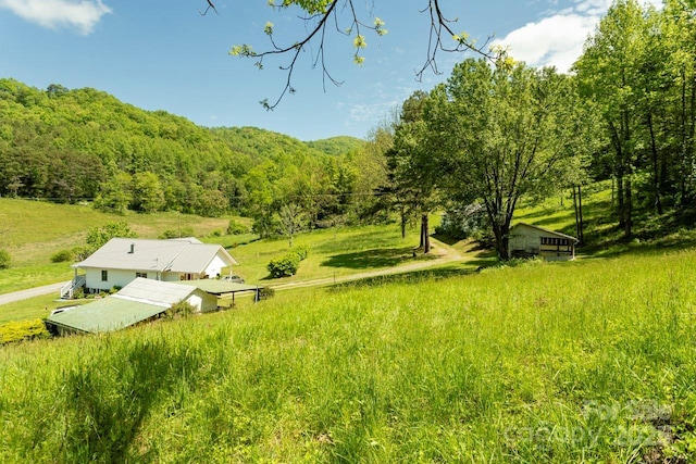 Offof Locust Creek Road, Sylva, NC 28779 - photo 5